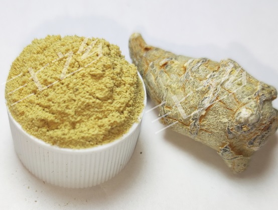 吃三七粉的可以减肥