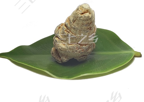 三七的食用方法