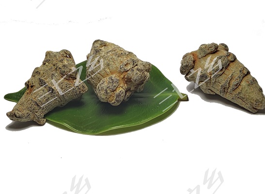 60头三七有功效