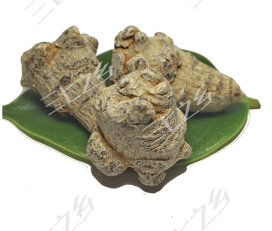 三七和田七的功效区别