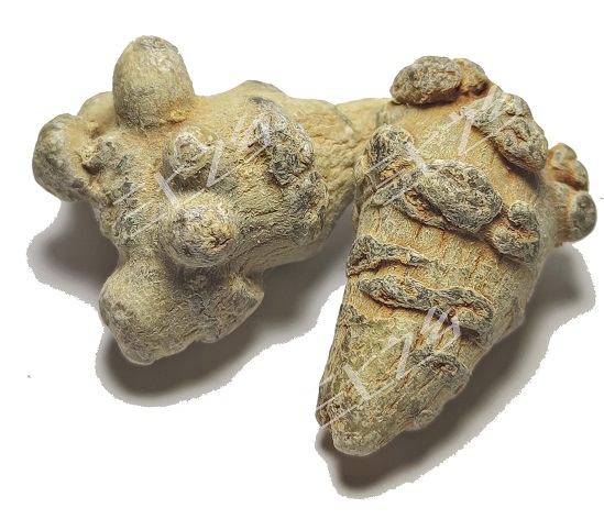 没有橡皮筋的三七