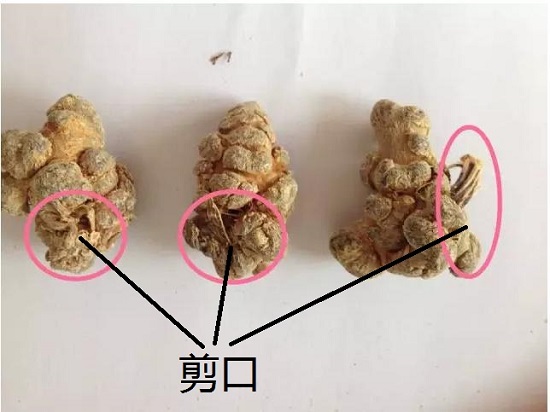 三七剪口示意图