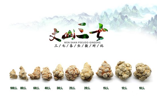 各种头数的三七